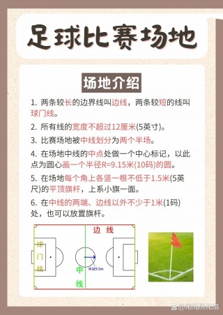 足球反感(对足球不感兴趣)