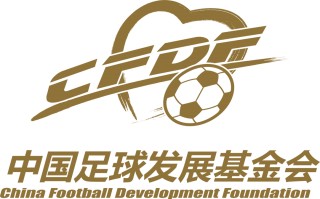 足球第二大联赛(足球联赛第二名有奖牌吗)