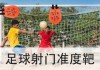 足球打门教学视频(足球打门教学视频大全)