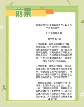 足球裁判总结(足球裁判总结500字)