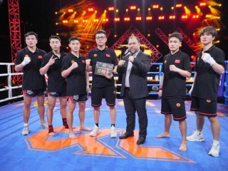 陕西大秦vs河北(陕西大秦vs河北大秦比赛)，陕西大秦与河北对决，一场激烈的对决