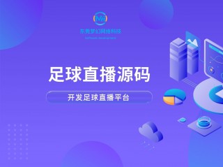 ct足球直播(足球直播视频)