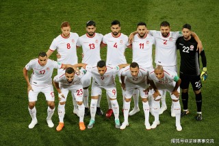 日本vs卡塔尔锦集(卡塔尔对阵日本央视网)