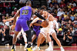 2009年nba季后赛湖人vs火箭(2009nba季后赛湖人vs火箭录像回放G3)