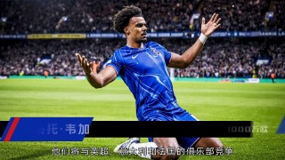 韦雷足球(韦德是足球运动员吗)