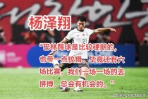 杨林林足球(足球解说员杨林)