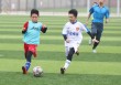 国内足球青训(国内足球青训现状)