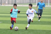 国内足球青训(国内足球青训现状)