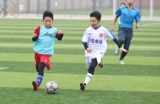 国内足球青训(国内足球青训现状)