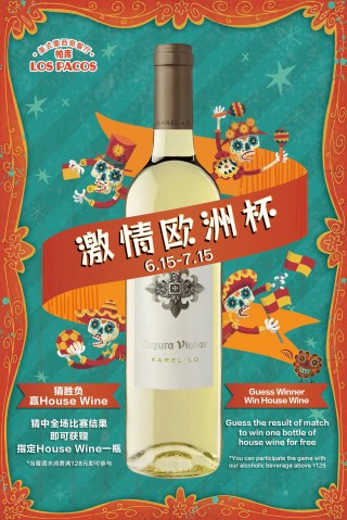 足球之夜欧洲杯足球宝贝(足球之夜20120517)