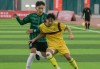 男子足球职业联赛(中国男子足球职业联赛)