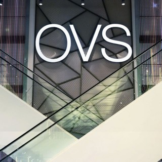 ovsa(ovsise是什么意思)