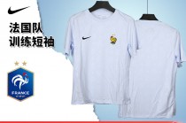 法国足球队耐克(法国足球队队服品牌)