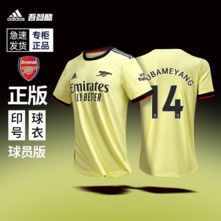足球衣号码的意义(足球衣号码的意义 66)