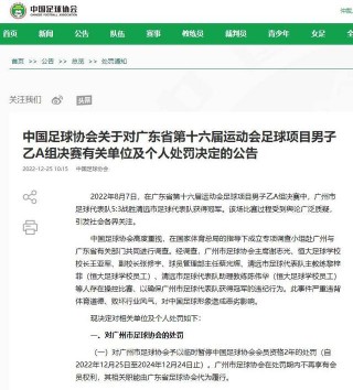 足球比赛处罚(足球比赛处罚公告模板)