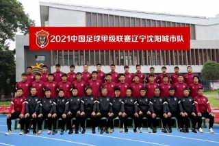 辽宁足球俱乐部(辽宁足球俱乐部官网)
