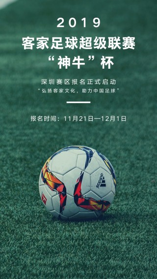 深圳人人足球队名单(深圳人人雷曼足球俱乐部)
