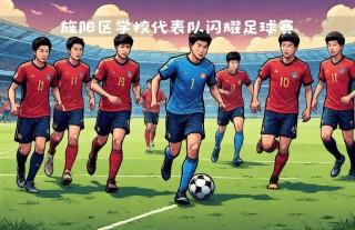 足球08队(2008年男子足球)