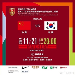 新浪中国足球20年(中国足球新浪体育新闻)