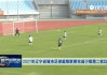 辽宁足球视频(辽宁足球直播吧)