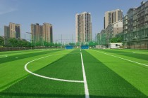 社区足球场(墨尔本滨海社区足球场)