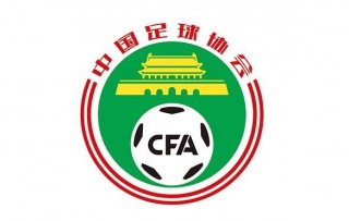 江苏足球协会(江苏足球协会会长是谁)