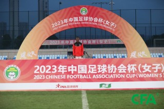中国足球协会杯(中国足球协会杯14决赛)