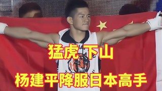 杨健平vs日本(杨建平ko日本拳王)