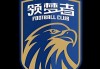 公司足球梦想(梦想足球队队徽)