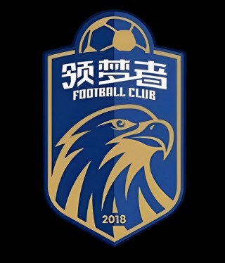 公司足球梦想(梦想足球队队徽)