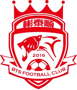 天津瑞龙足球俱乐部(天津瑞龙足球俱乐部打架事件)