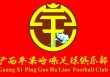 公司足球协会(公司足球协会介绍)