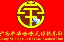 公司足球协会(公司足球协会介绍)