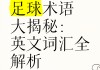 名词解释足球运动(名词解释 足球运动)