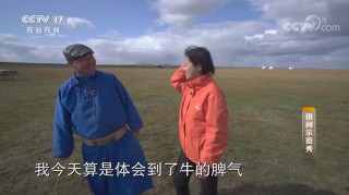 桑宇足球(桑宇是谁啊)