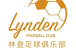 足球俱乐部组织结构(足球俱乐部的组织与运营)