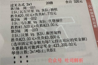 竞猜足球总进球怎么玩(竞猜足球总进球怎么玩的)