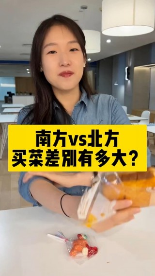 北方vs南方(北方vs南方经济)