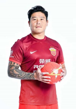 足球队员 *** (足球队员 *** 视频)