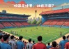 足球南开(重庆南开足球俱乐部)