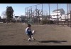 日本小学生足球训练(日本少儿足球训练视频)