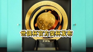 2016足球世俱杯(世俱杯2006)