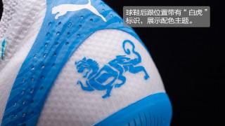 tiger足球(tiger football show)