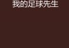 足球天才小说(足球天才小说在线阅读)