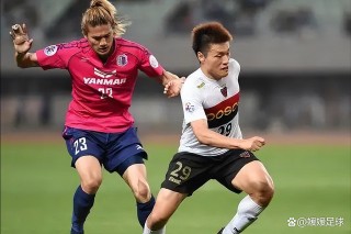 水户蜀葵vs(水户蜀葵Vs甲府风林比分结果)