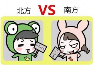 北方vs南方(北方vs南方经济)