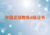 足球d级教练(足球d级教练员含金量高吗)