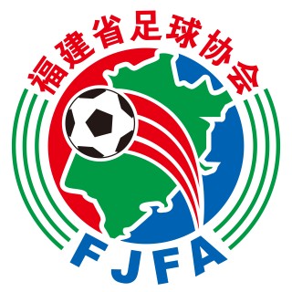 足球联赛组委会(足球比赛组委会人员组成)