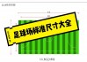 欧洲足球场尺寸(欧洲足球场有多长)