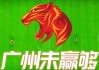 广州恒大足球票(广州恒大足球票价)